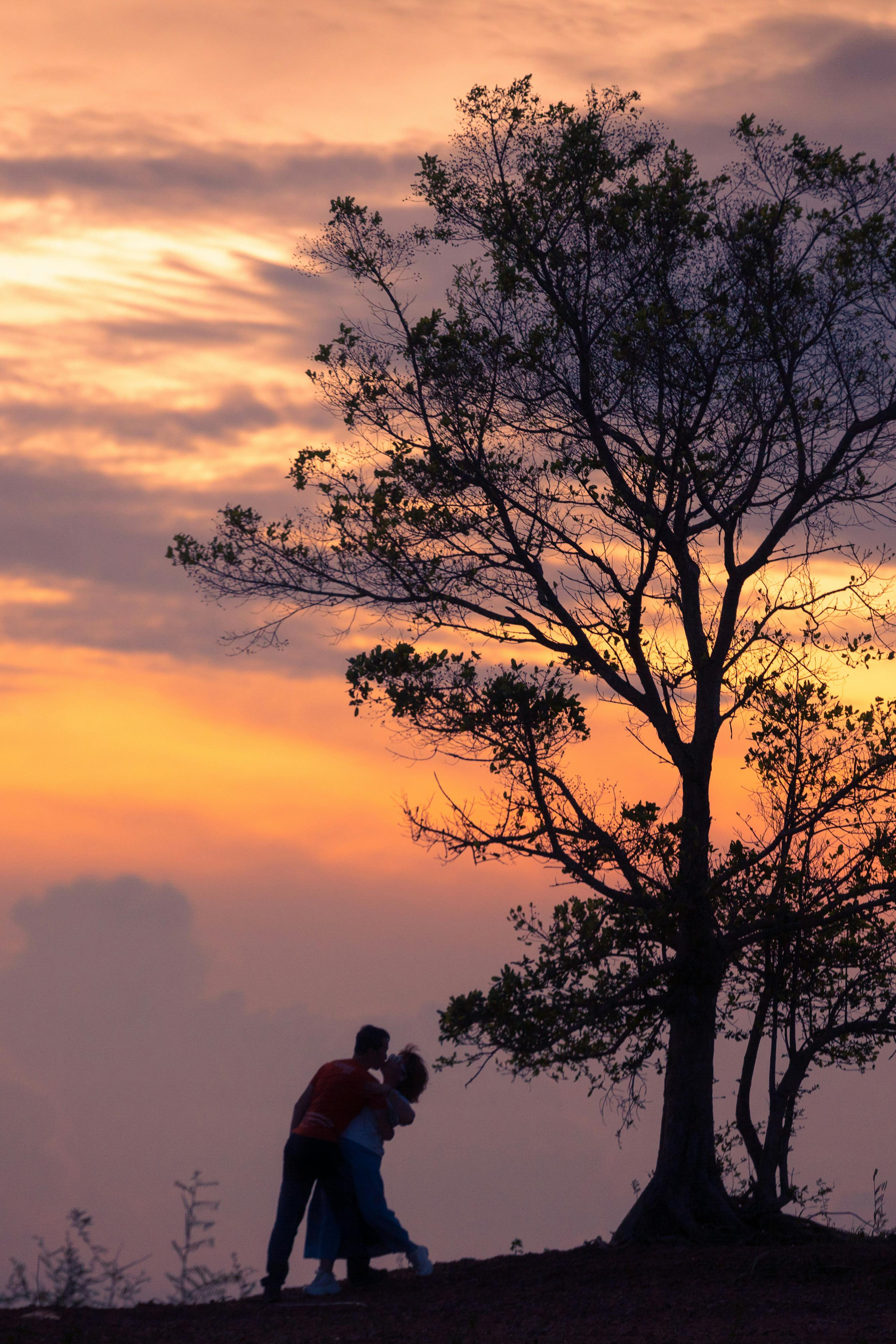 silhouette of couple kissing under tree at sunset