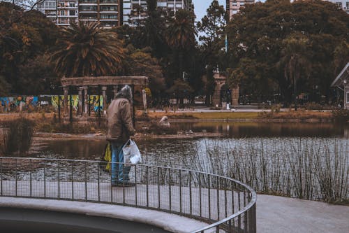 Immagine gratuita di lago, vecchio uomo, velho