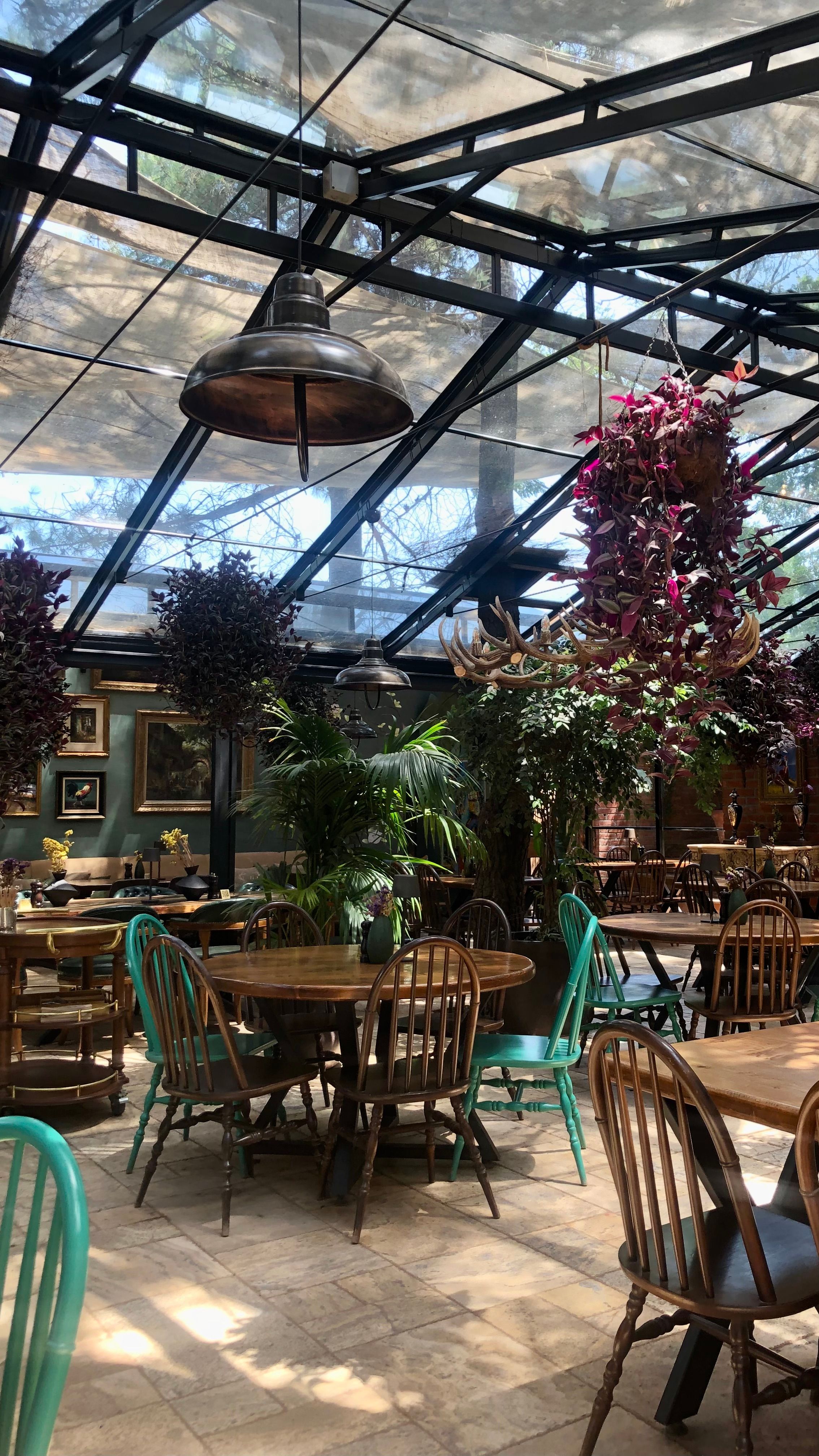 Cozy indoor garden cafe with hanging plants and rustic furniture under a glass roof.