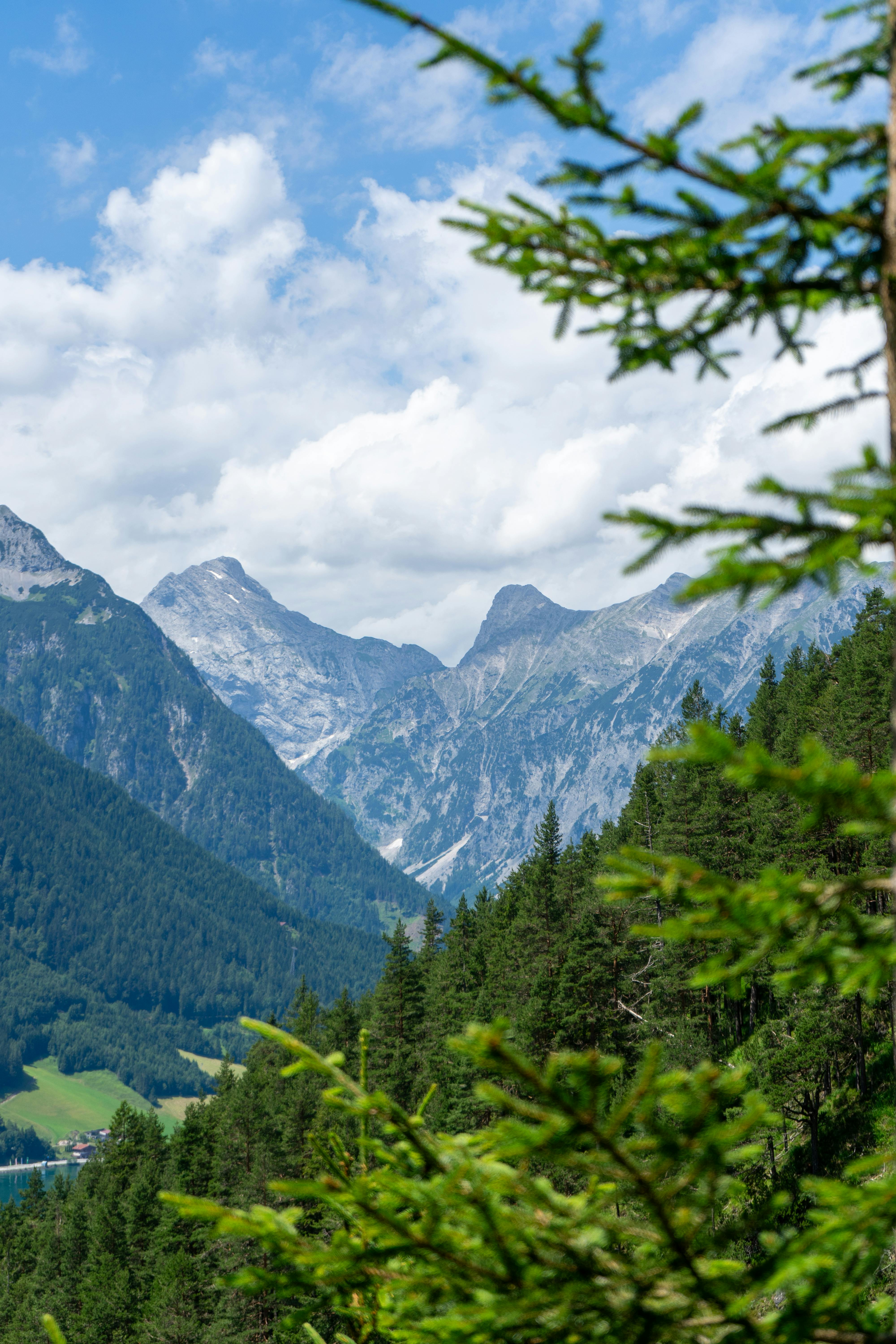 A view of mountains and trees with a plane flying over them · Free Stock  Photo, image size:4000x6000