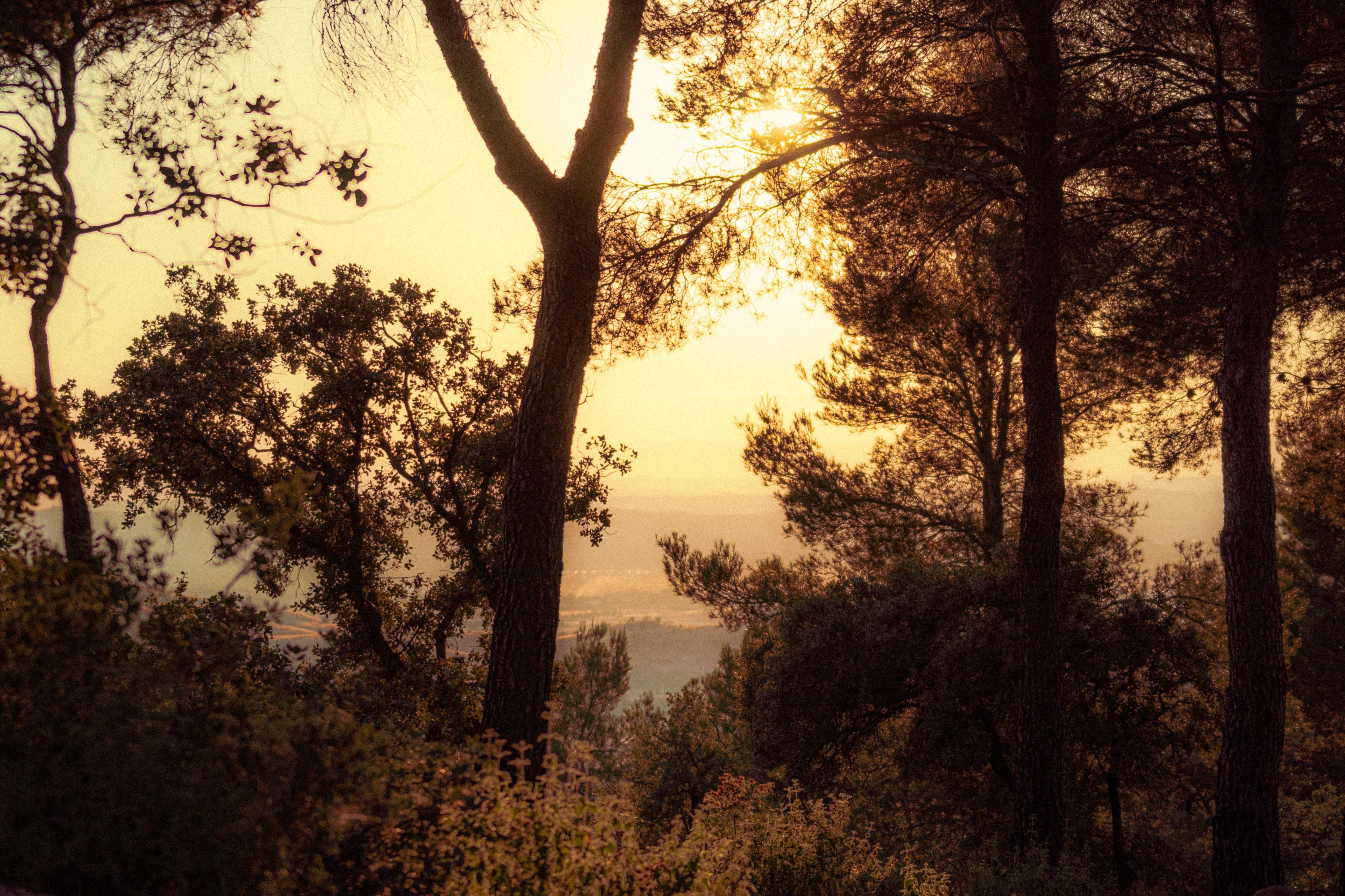 Parc Natural de Sant Llorenç del Munt i l'Obac