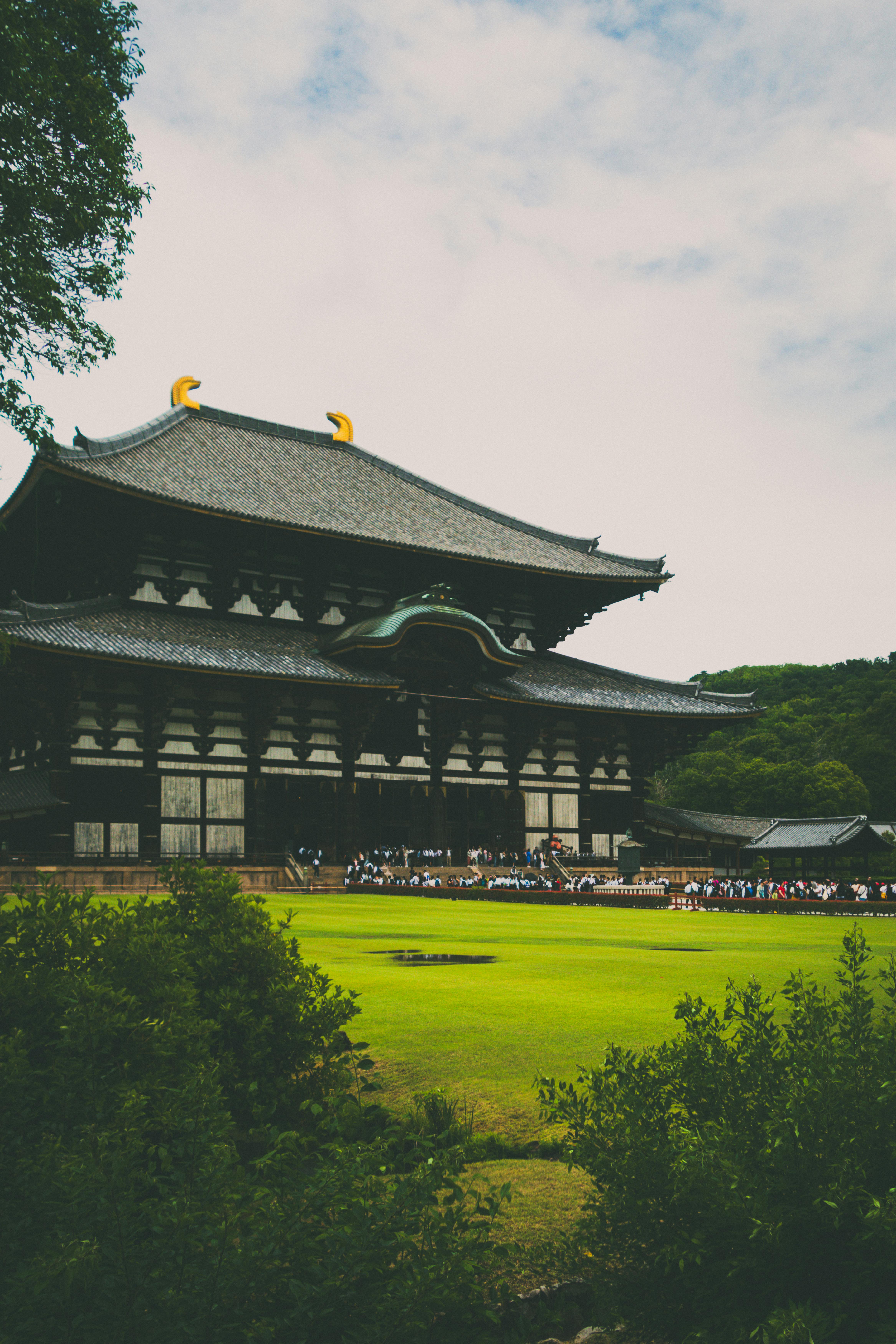 Scenic view of Todai-Ji Temple in Osaka, capturing traditional architecture and lush surroundings.