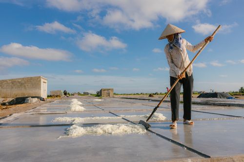 Free A woman farmer harvesting salt in Vietnam's picturesque countryside. Stock Photo