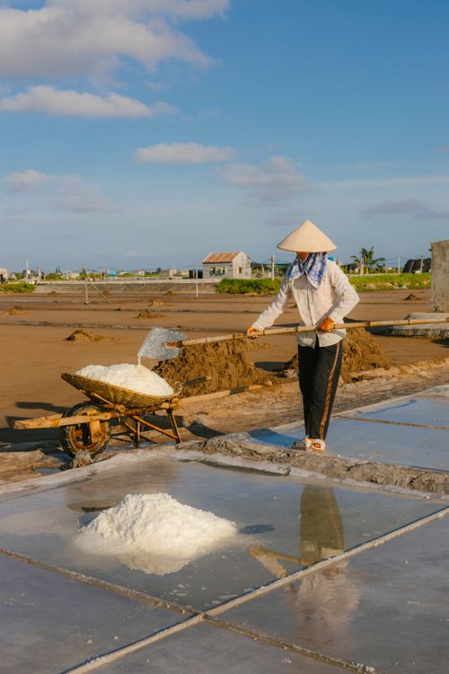 Free A farmer in Vietnam gathers salt on a sunny day, showcasing traditional agricultural practices. Stock Photo