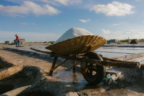 Free Wheelbarrow with salt at a rural salt field under blue sky. Traditional harvesting scene. Stock Photo