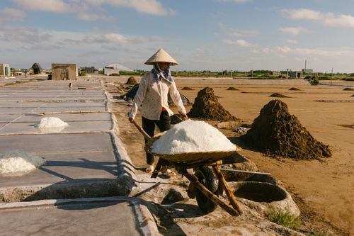 Free Worker harvesting salt in a rural field using a wheelbarrow, showcasing traditional methods. Stock Photo