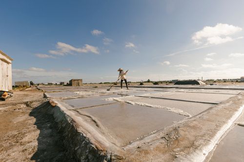 Free A person harvests salt in a sunny Vietnamese salt flat, wearing a conical hat. Stock Photo