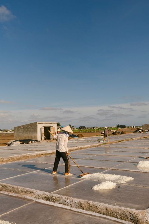 Free Workers harvesting salt in a rural countryside under a bright blue sky. Stock Photo