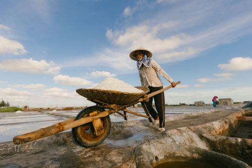 Free A woman wearing a conical hat pushes a wheelbarrow filled with salt at a sunlit salt flat in Vietnam. Stock Photo