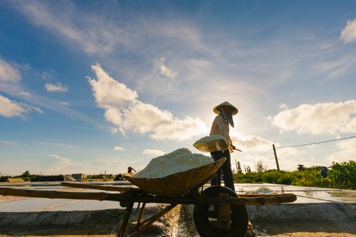 Free A salt farmer wearing a conical hat works in a sunlit salt field in Vietnam, pushing a wheelbarrow full of salt. Stock Photo