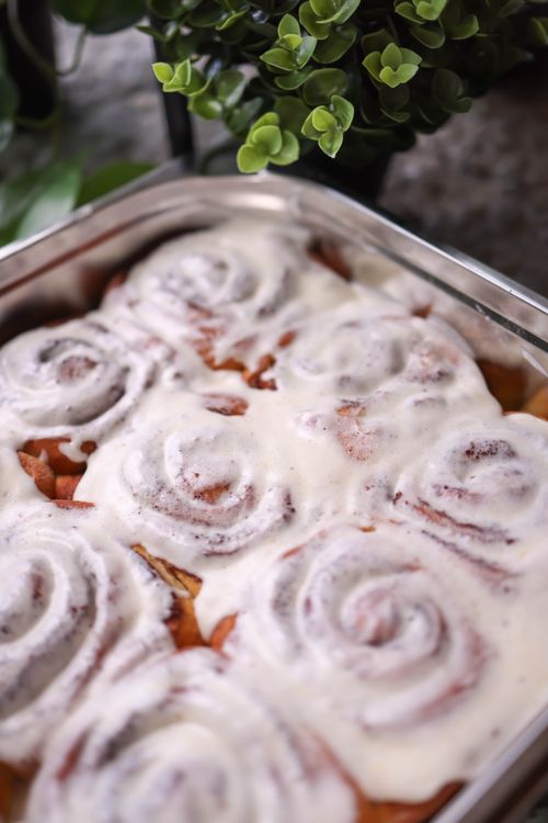 Free Appetizing iced cinnamon rolls in a baking tray, perfect for a sweet treat. Stock Photo
