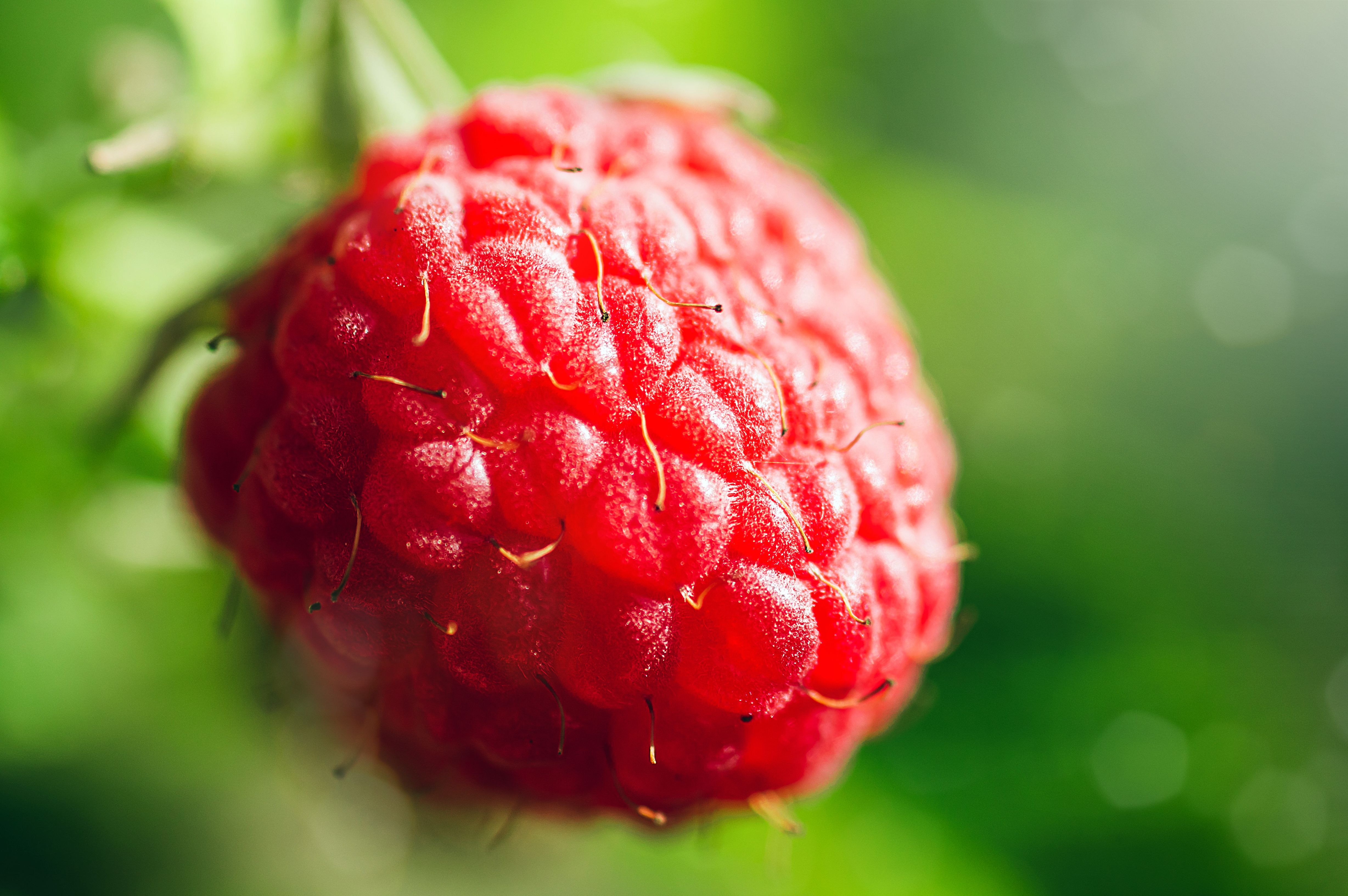 Raspberry sugar spotted in interstellar space, a sweet discovery that could reveal clues a