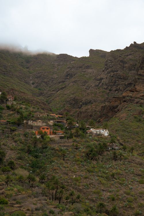 Free A breathtaking view of Masca village nestled in the mountains of Tenerife, Spain. Stock Photo