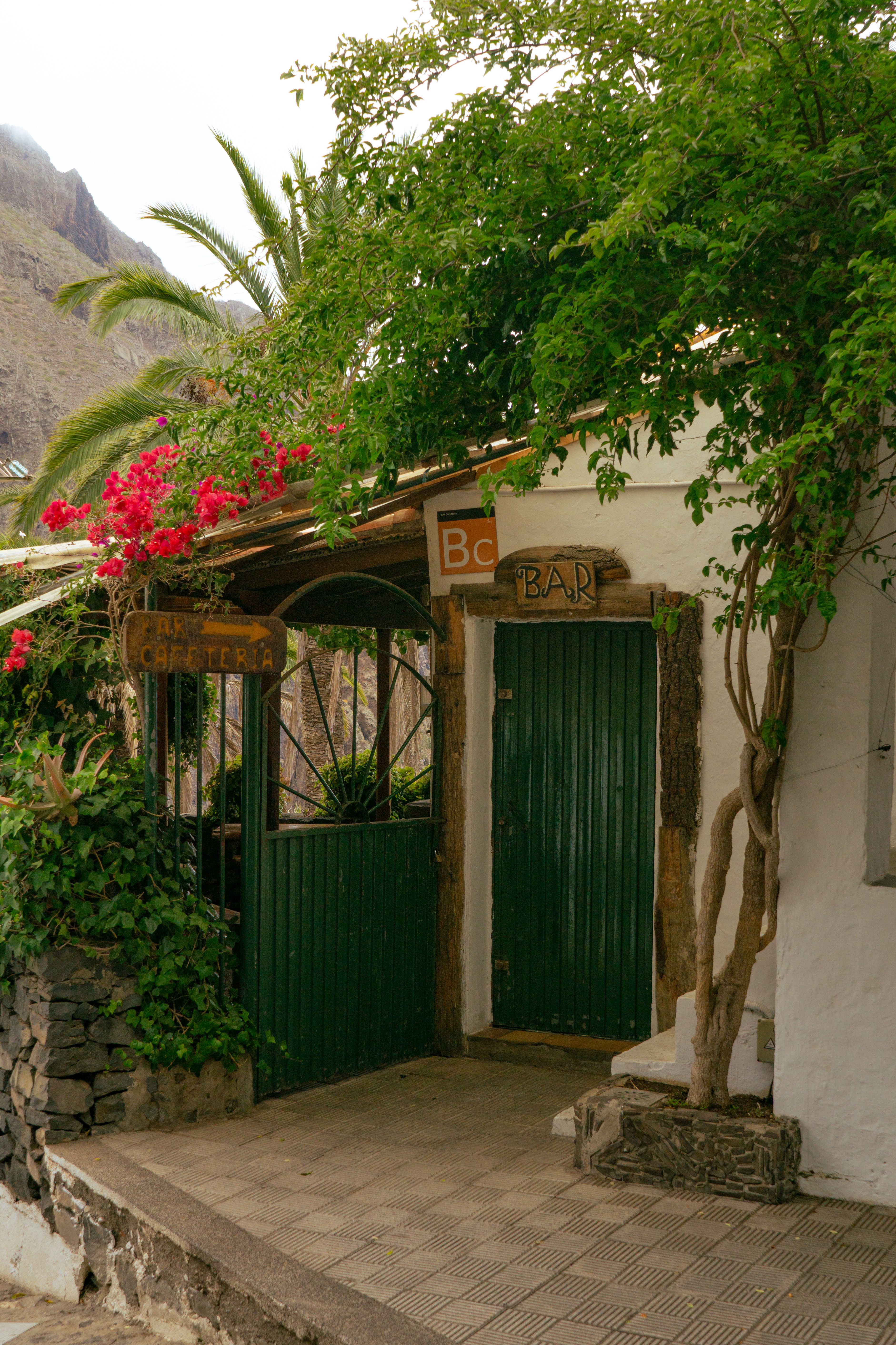 Rustic bar entrance with vibrant greenery in Masca, Canary Islands.