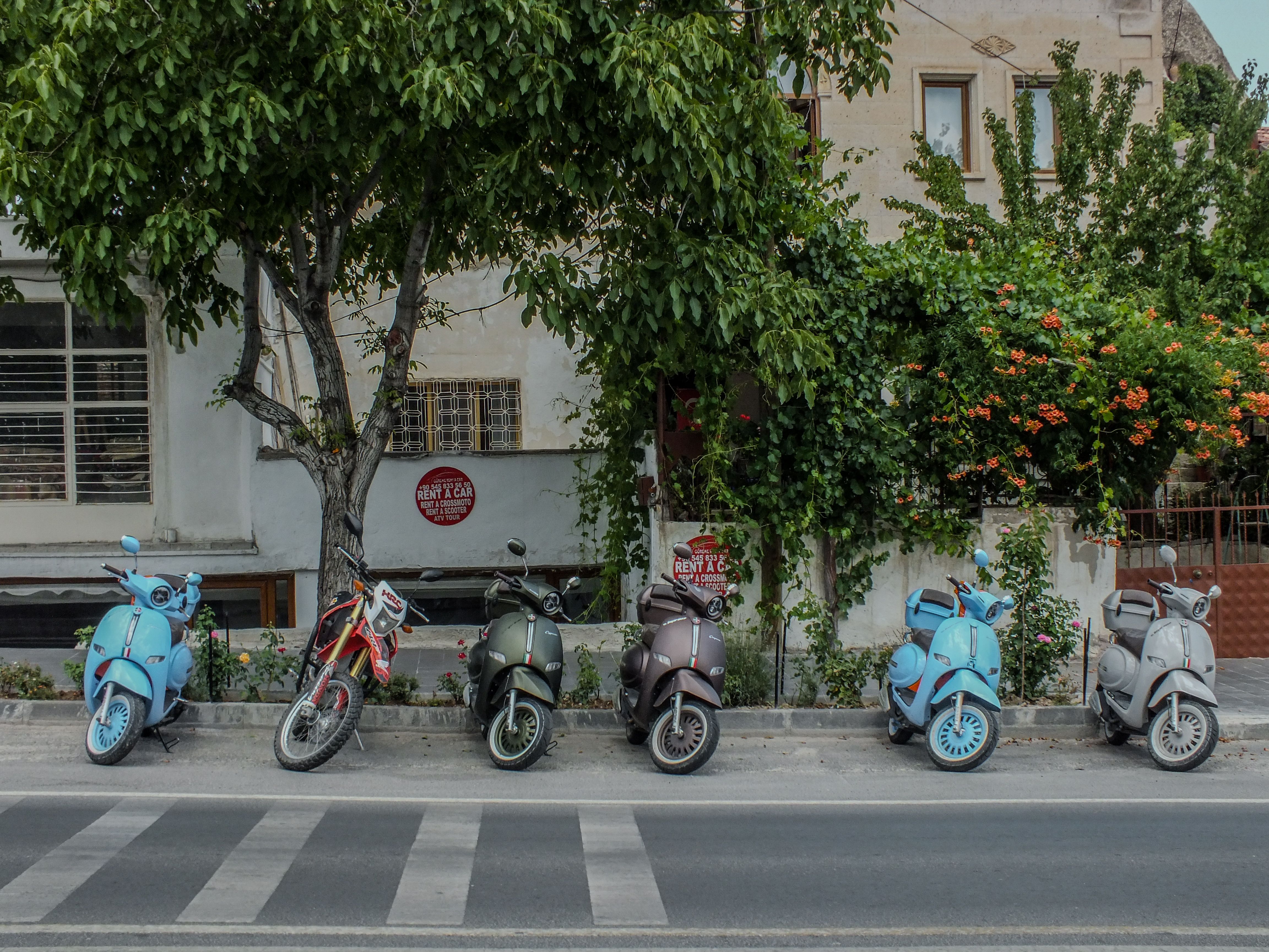 Plusieurs scooters garés en épi sous un arbre le long d'une rue