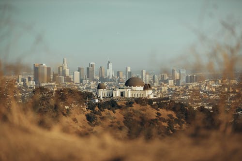 White and Brown Buildings