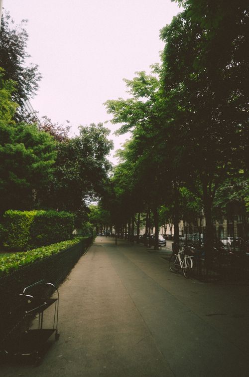 Free naturaleza parisina Stock Photo