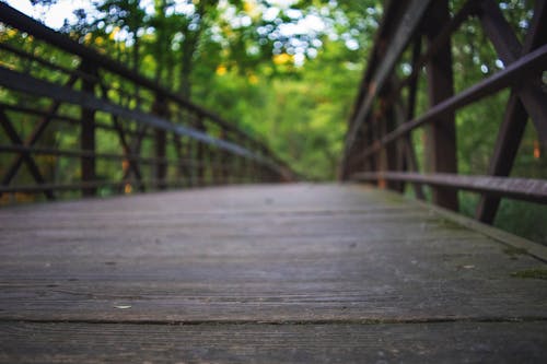 Free stock photo of adventure, bridge, hiking