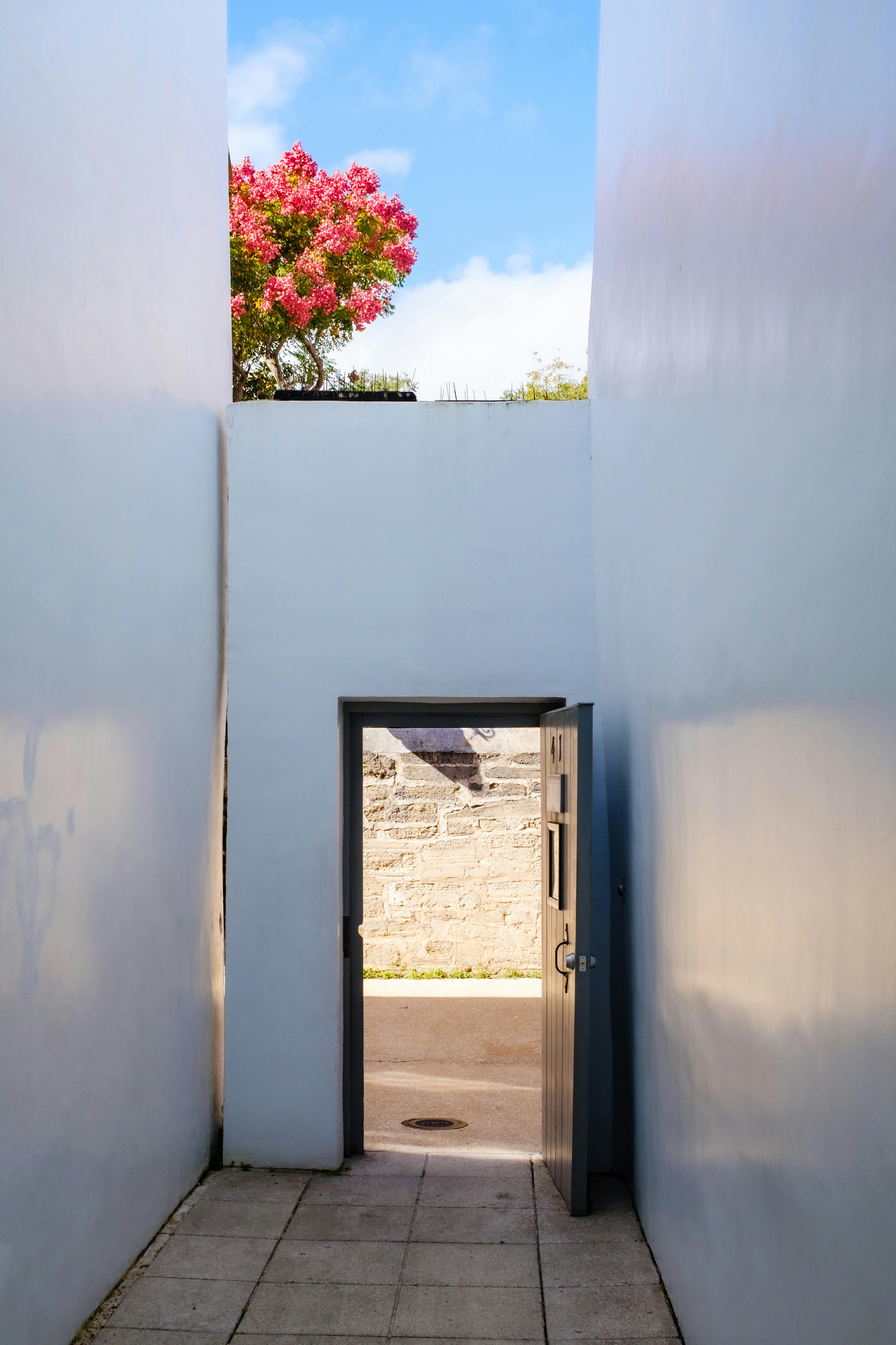 A minimalist narrow passage leading to an open doorway with vibrant pink flowers above.