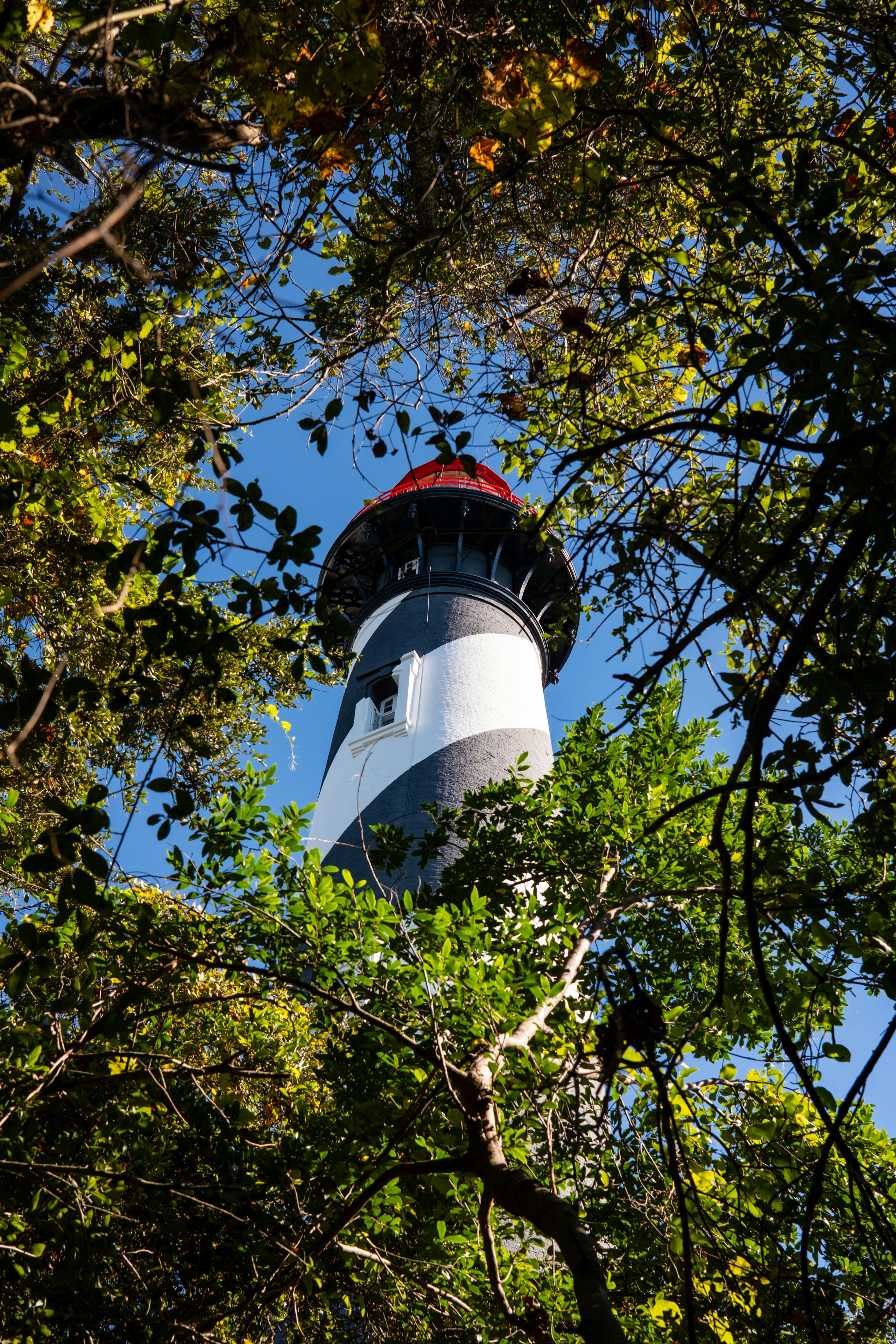 a lighthouse is surrounded by trees and bushes