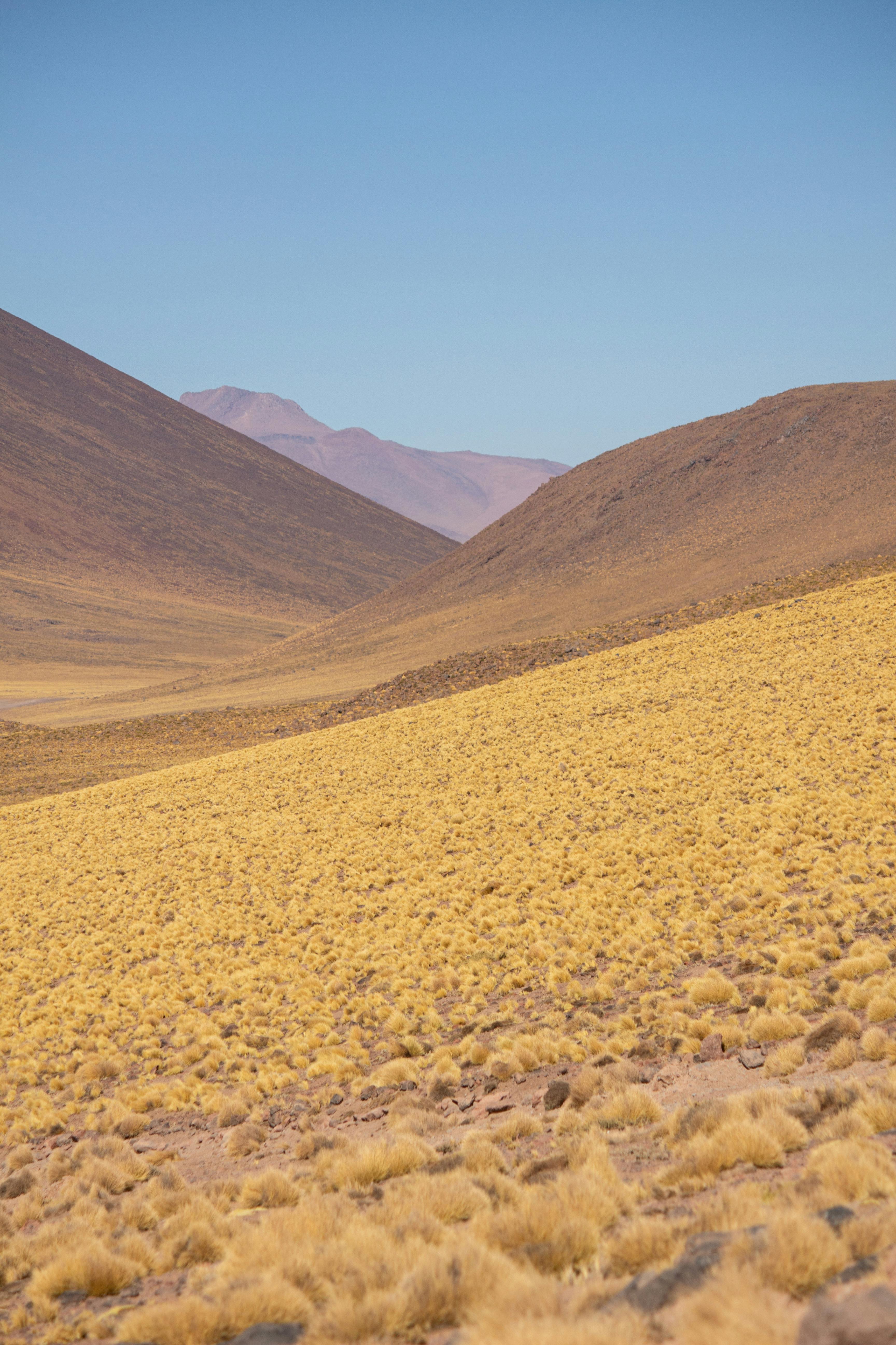 Explore the barren beauty of Chile's rolling desert hills under a clear blue sky.
