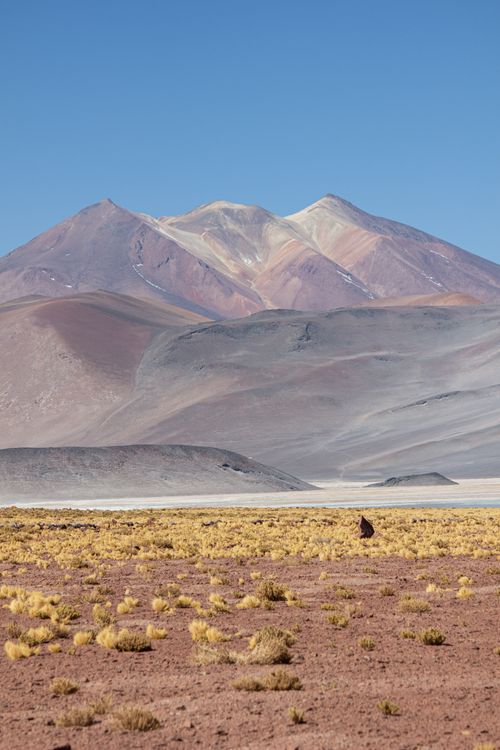 Free Breathtaking view of colorful mountains in the remote Atacama desert, Chile. Stock Photo
