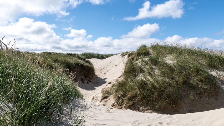 Murlough NNR — view 1