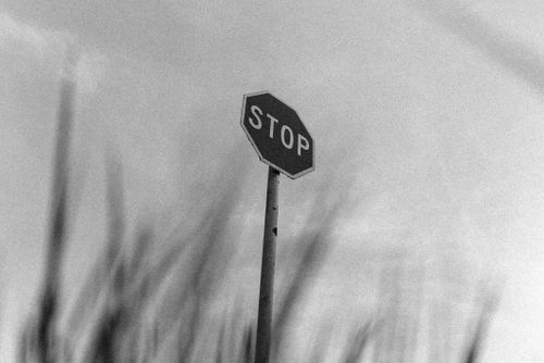 Free A black and white photo showcasing a stop sign in Waikato, New Zealand. Stock Photo