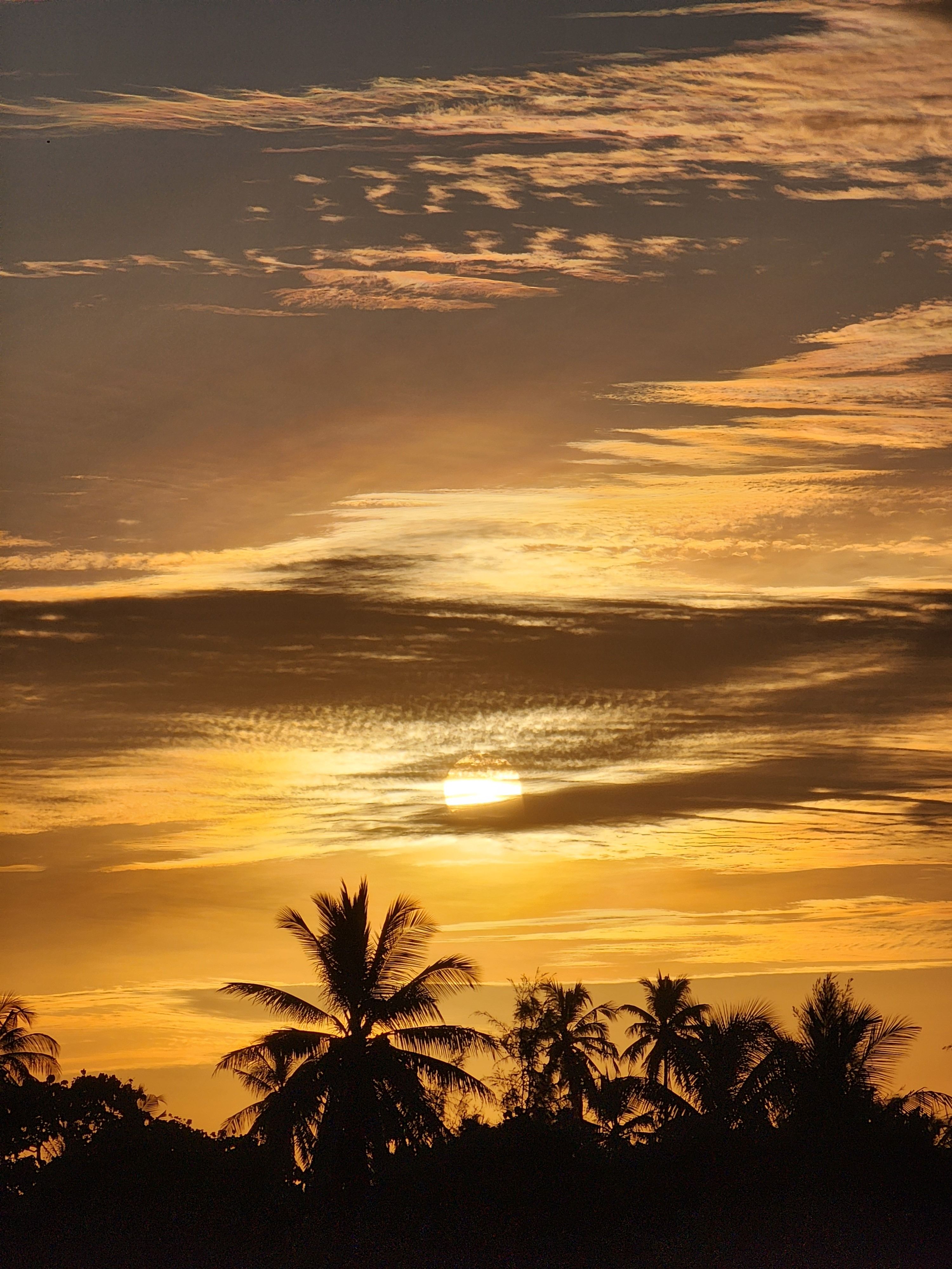 Beautiful sunset with palm tree silhouettes in Kolamaafushi, Maldives, creating a tranquil and moody atmosphere.