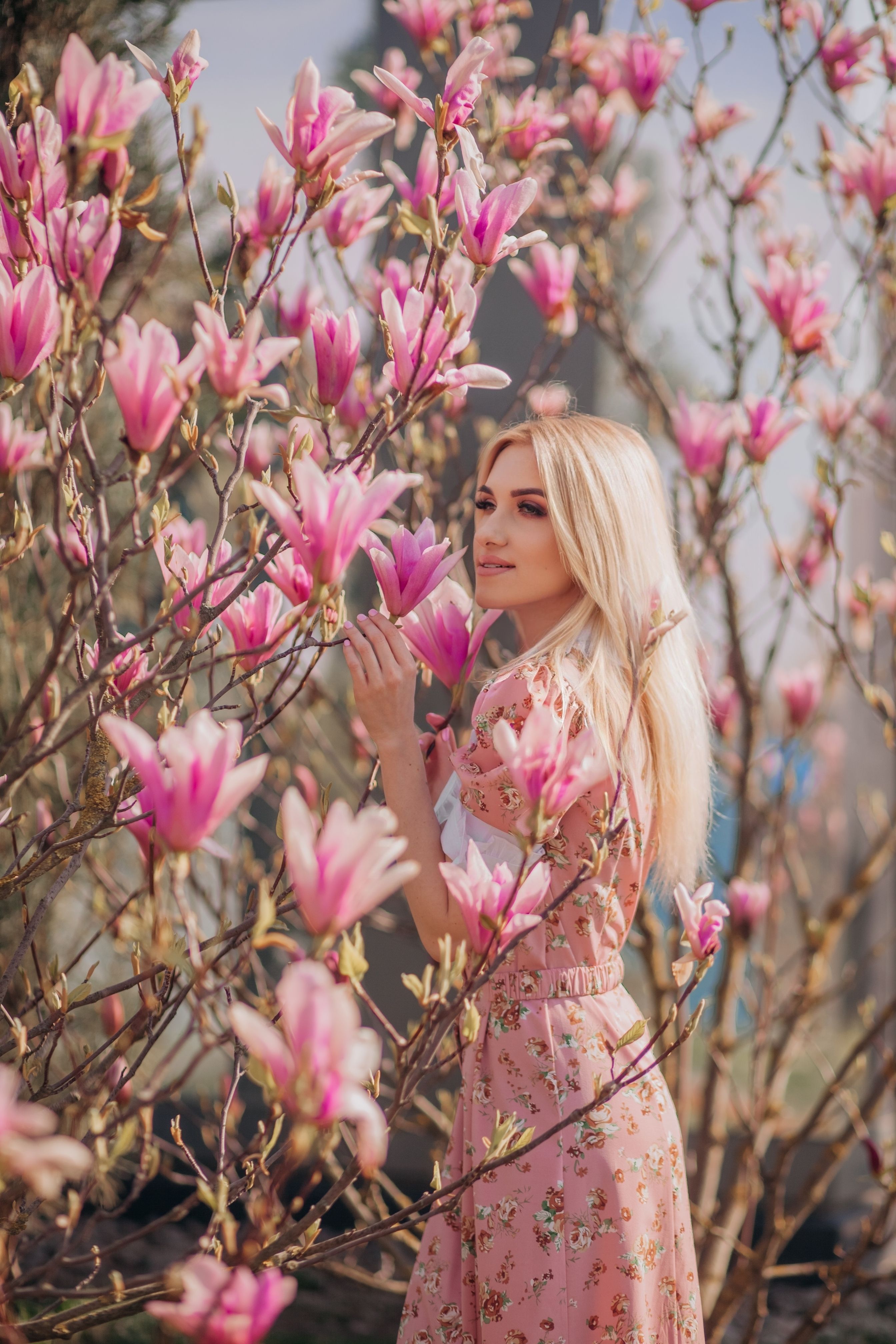 Woman Standing amid Pink Flowers · Free Stock Photo