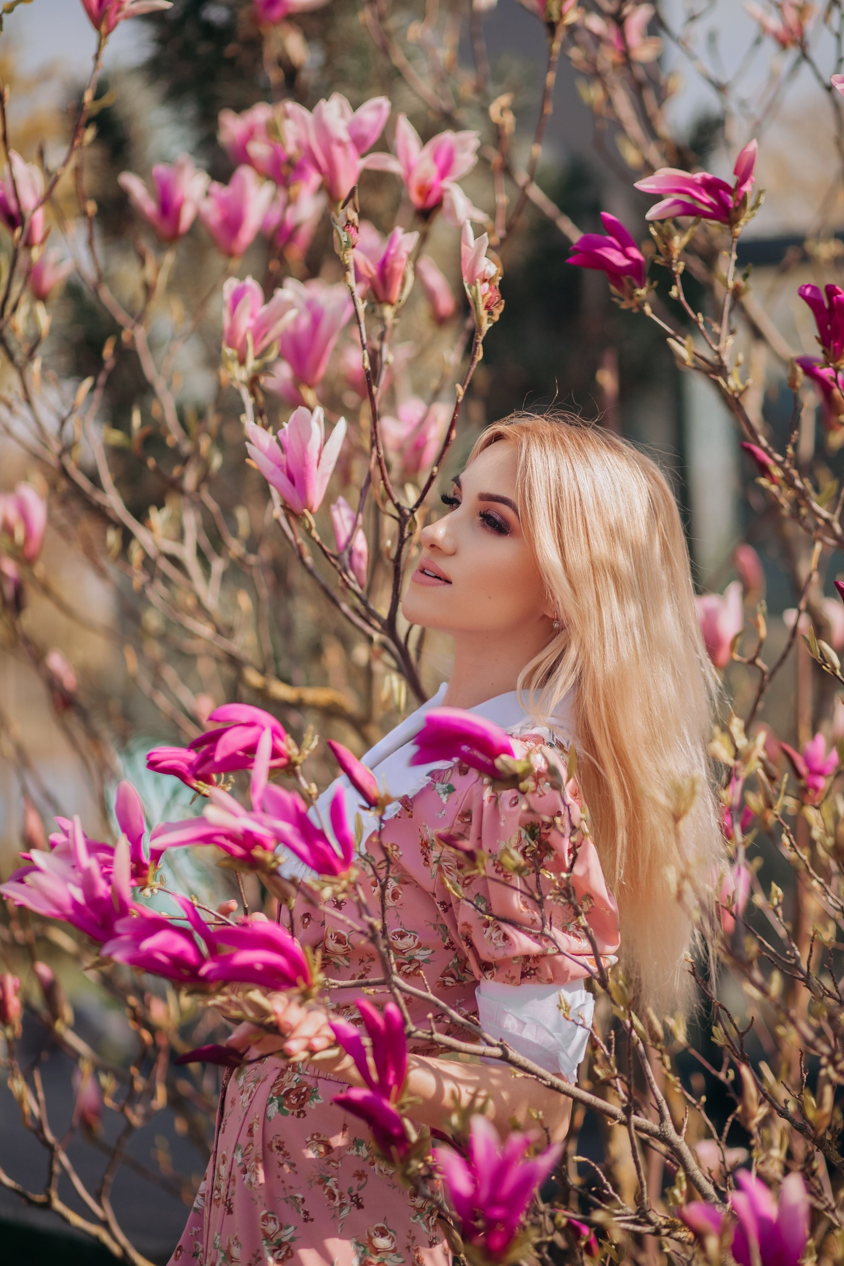Woman in a Dress Standing amid Flowers · Free Stock Photo