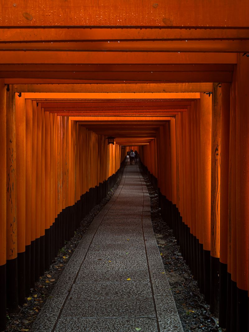 Path of vermilion torii gates at Fushimi Inari Taisha shrine in Kyoto