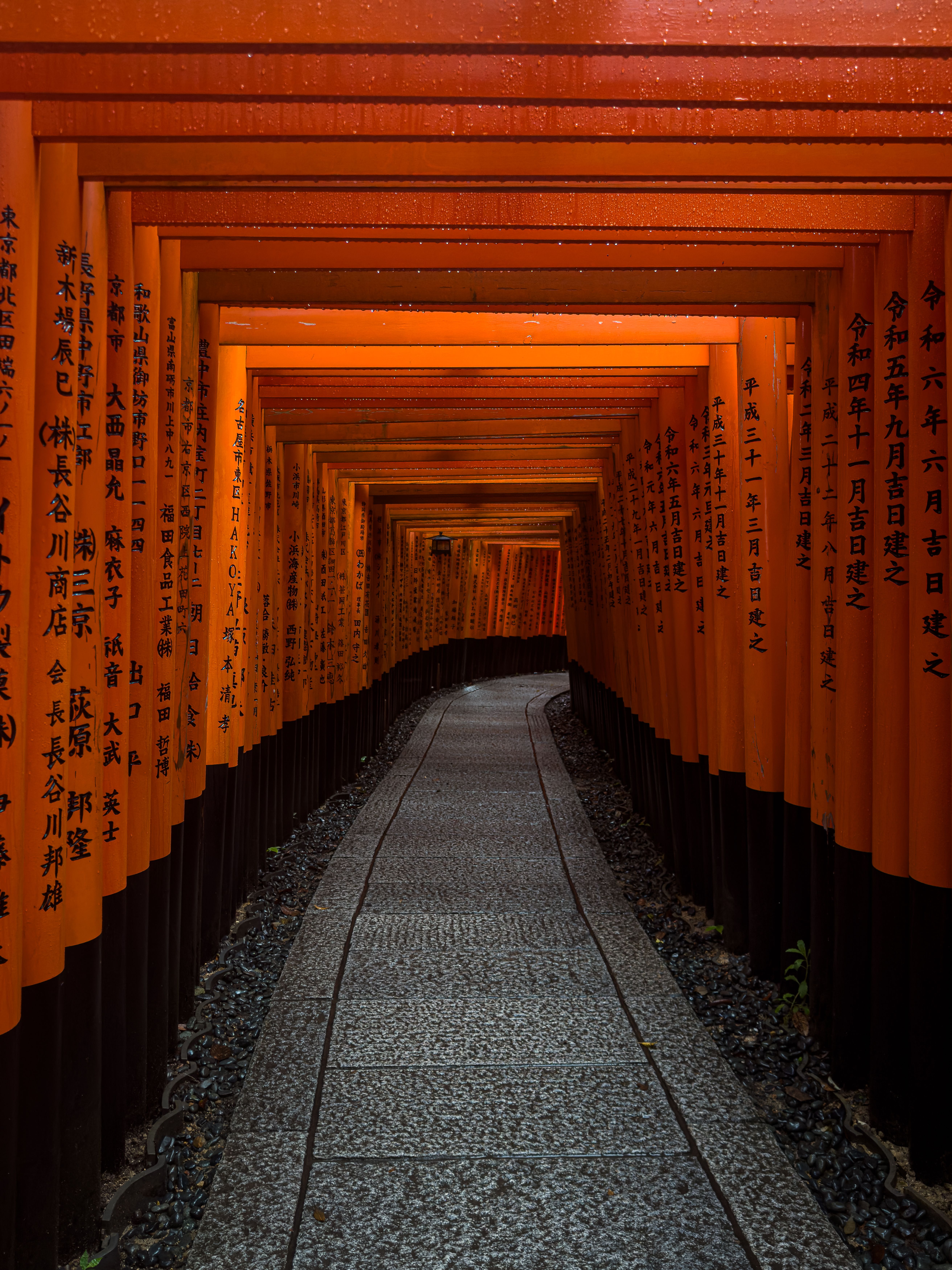 A Walkway under the Torii Gates at the Fushimi Inari-Taisha in Kyoto ...