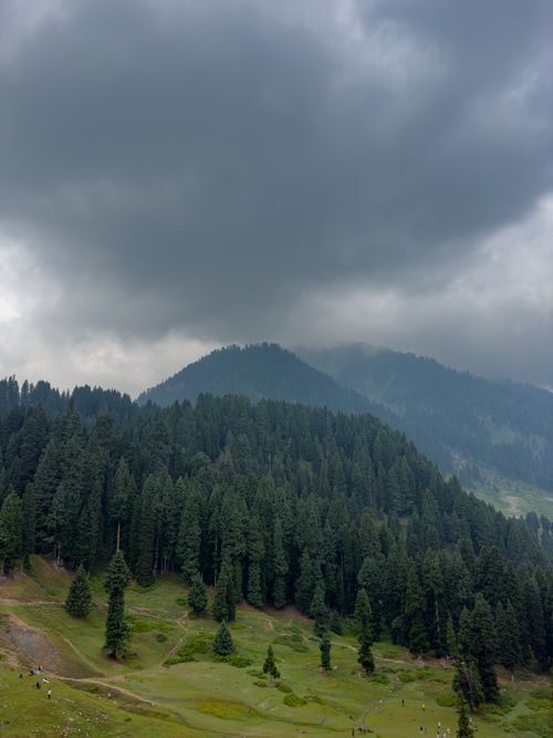 Free A picturesque mountain landscape featuring lush forests under dramatic dark clouds. Stock Photo