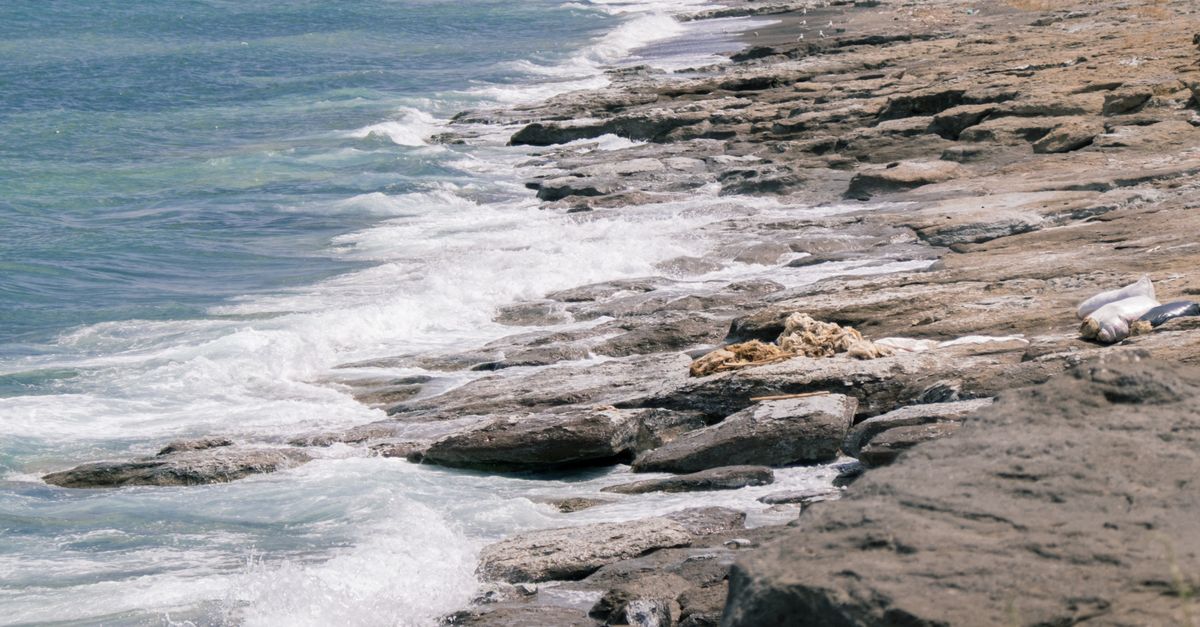 Flat Rocks on a Seashore · Free Stock Photo