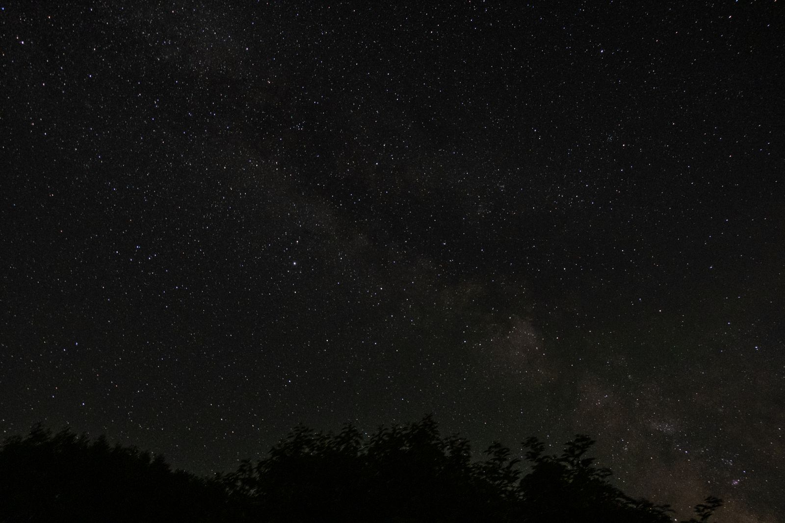A dark and expansive night sky filled with countless stars and the Milky Way galaxy