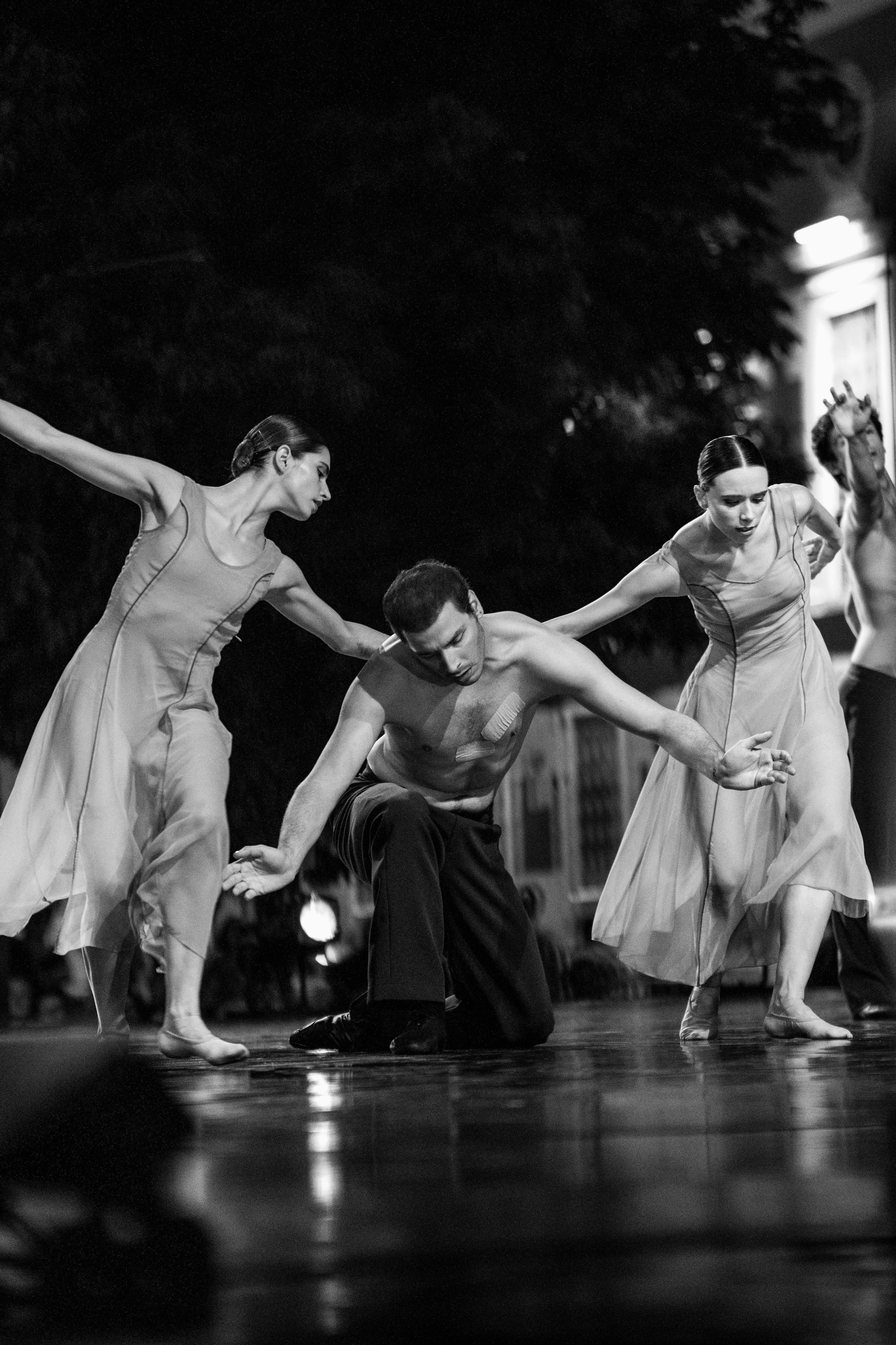 grátis Foto profissional grátis de amável, ao ar livre, artístico Foto profissional