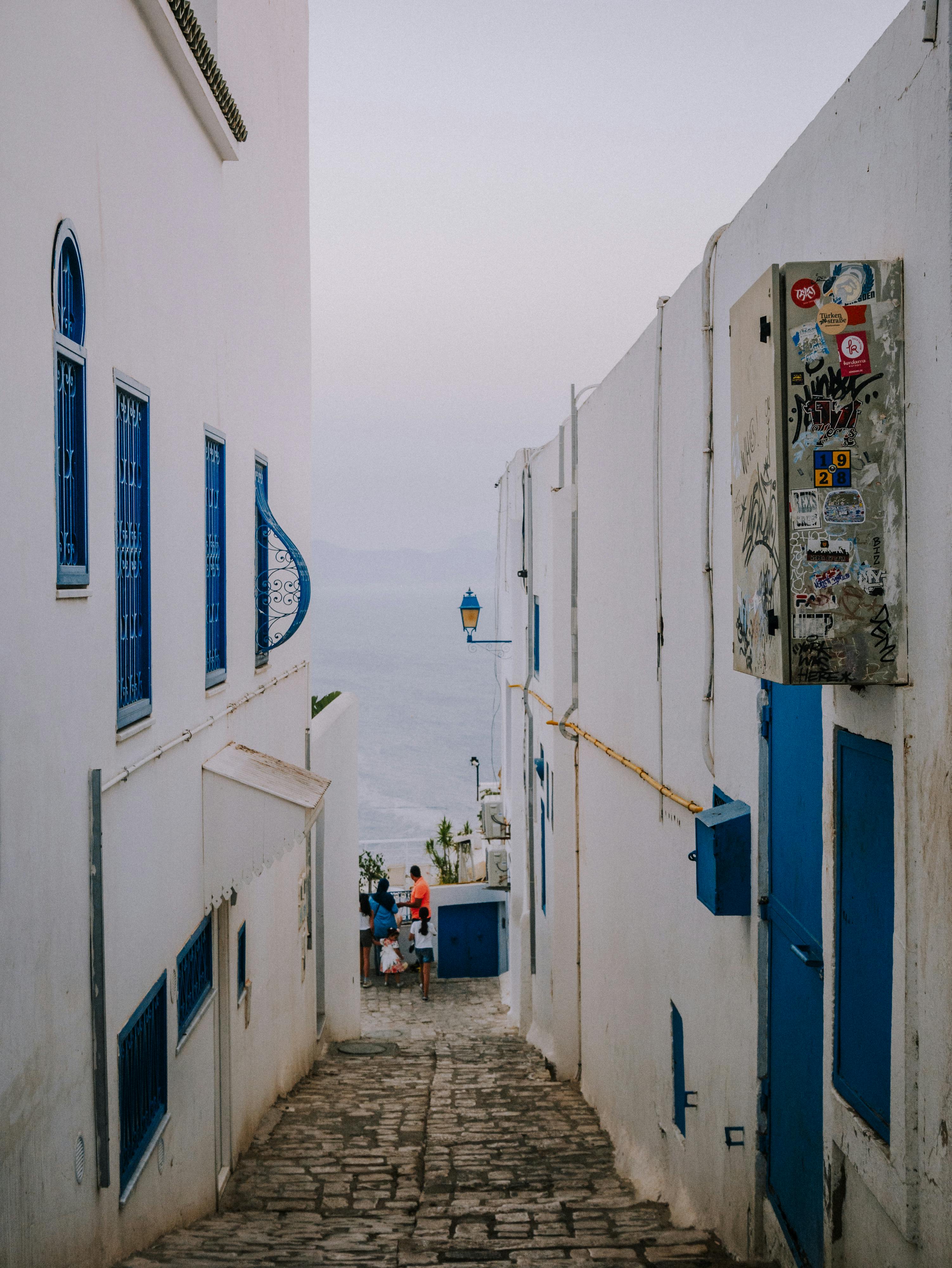 Charming alley with white buildings and blue accents leading to a sea view.