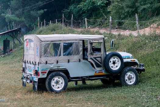 A rugged off-road jeep parked in the scenic greenery of Naran, Pakistan.