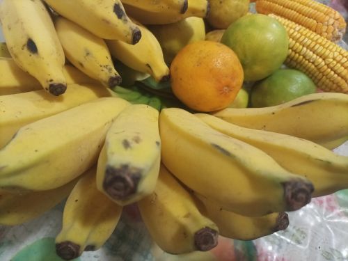 Free Banana  Stock Photo