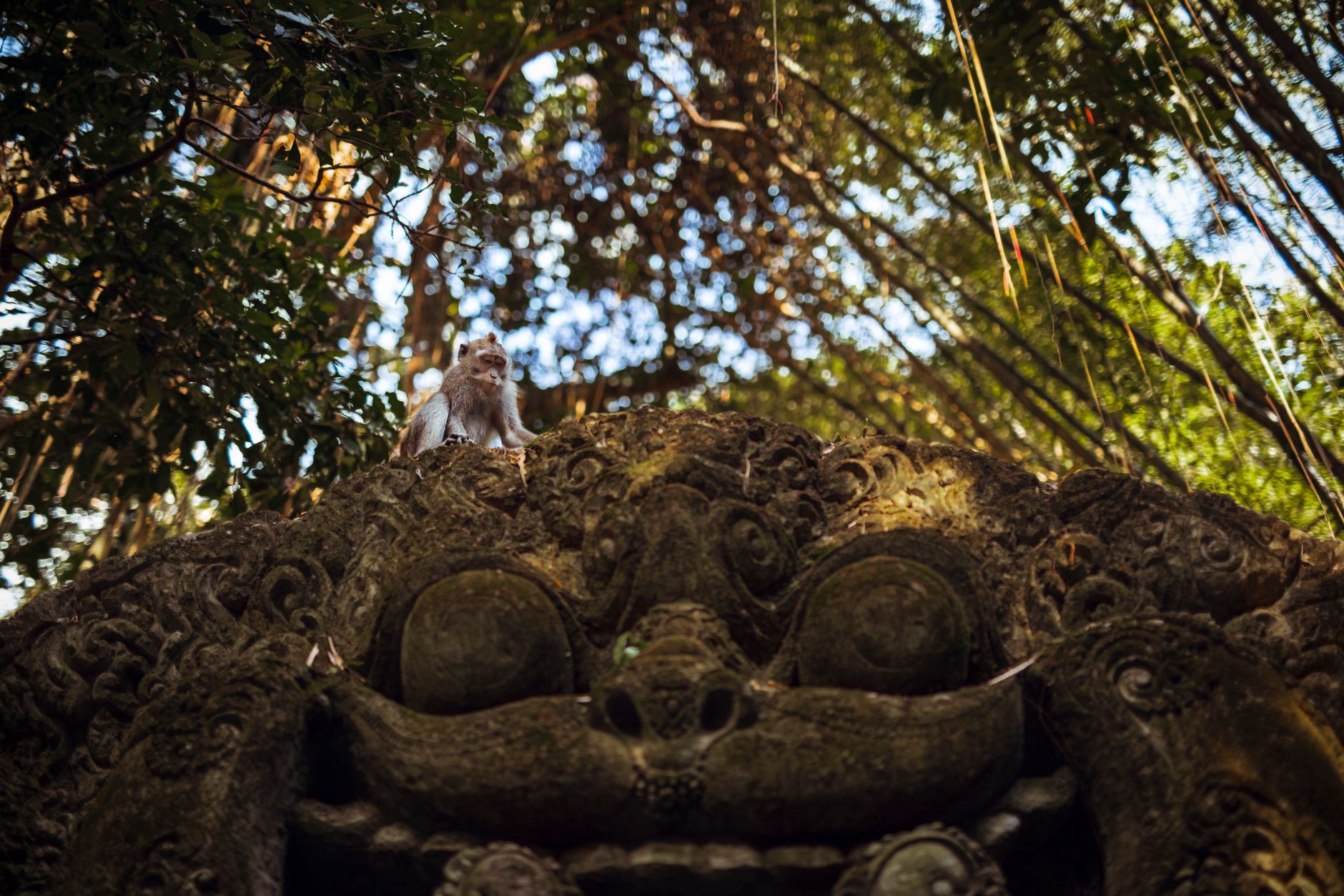 Monkey Forest Bezoek in Ubud Bali