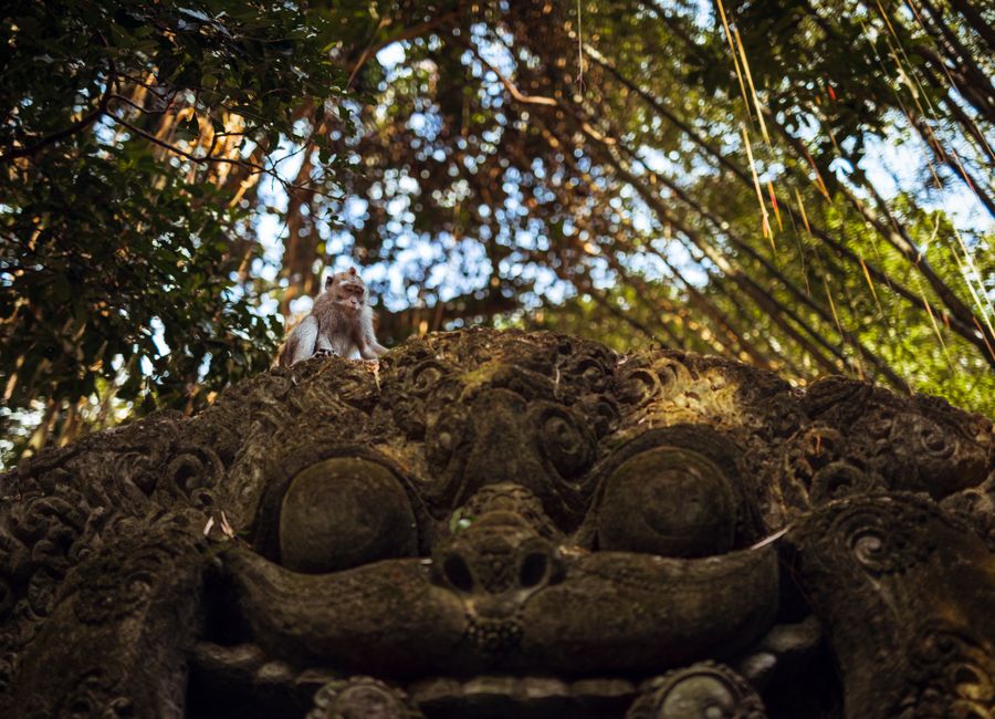 Ubud, Indonesia — a travel moment · stay connected with a Ubud eSIM from My Holiday SIM