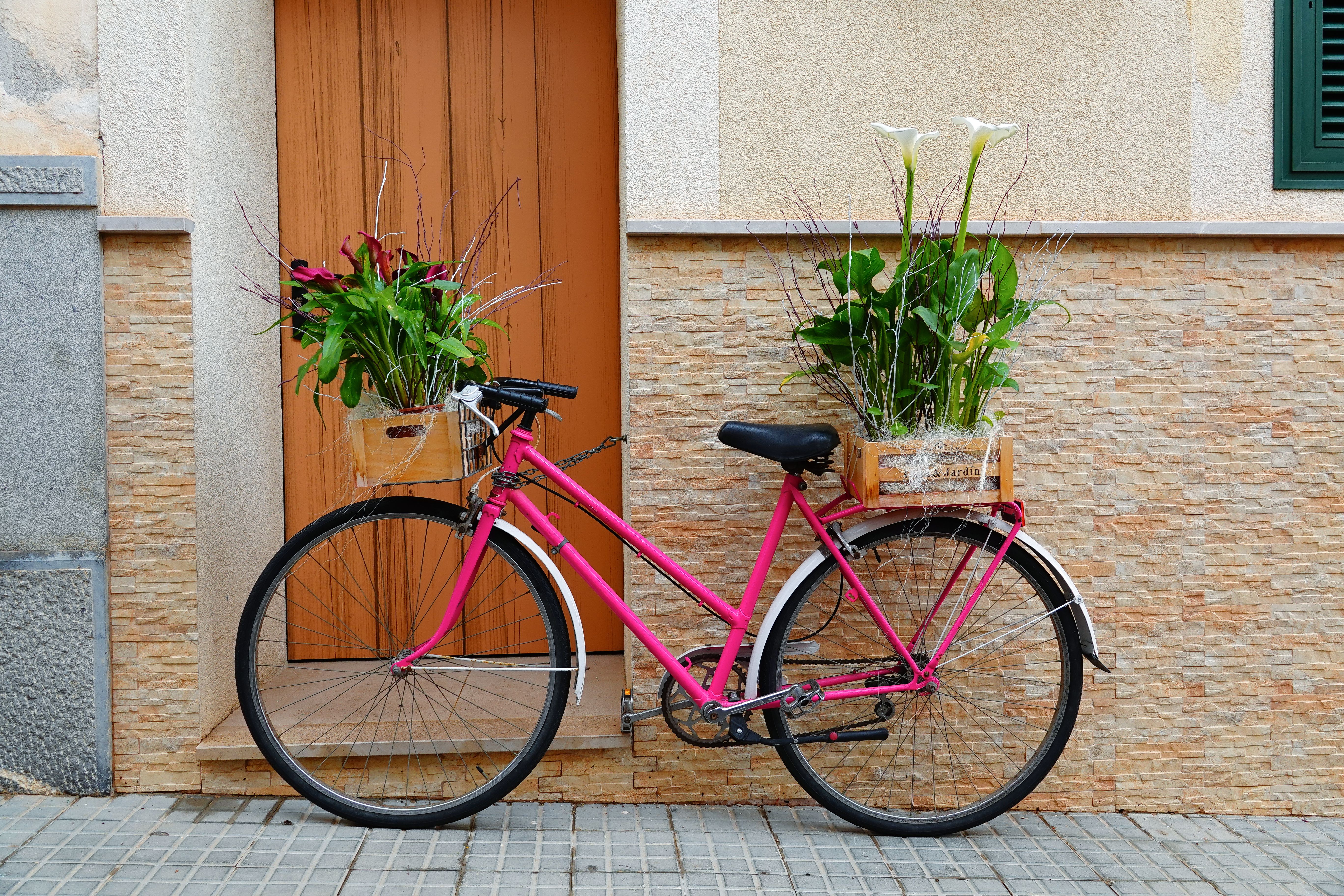 Foto: Joerg Hartmann / Pexels