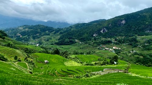 Free Scenic view of vibrant green terraced rice fields and mountains under cloudy skies. Stock Photo