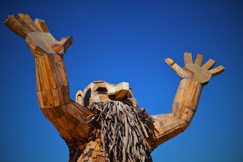 Giant XXL Bully Dogs: Breed, Size, Health, and Care Guide