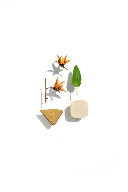 Artistic minimalist arrangement of stones, flowers, and leaf on white background.