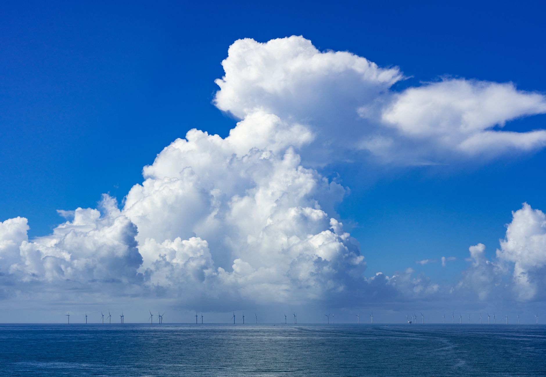 Leilões de Eólica Offshore no Brasil 2026: A Virada Energética
