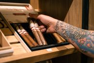 Tattooed hand holding a box of premium cigars in a wooden humidor, highlighting luxury and style.