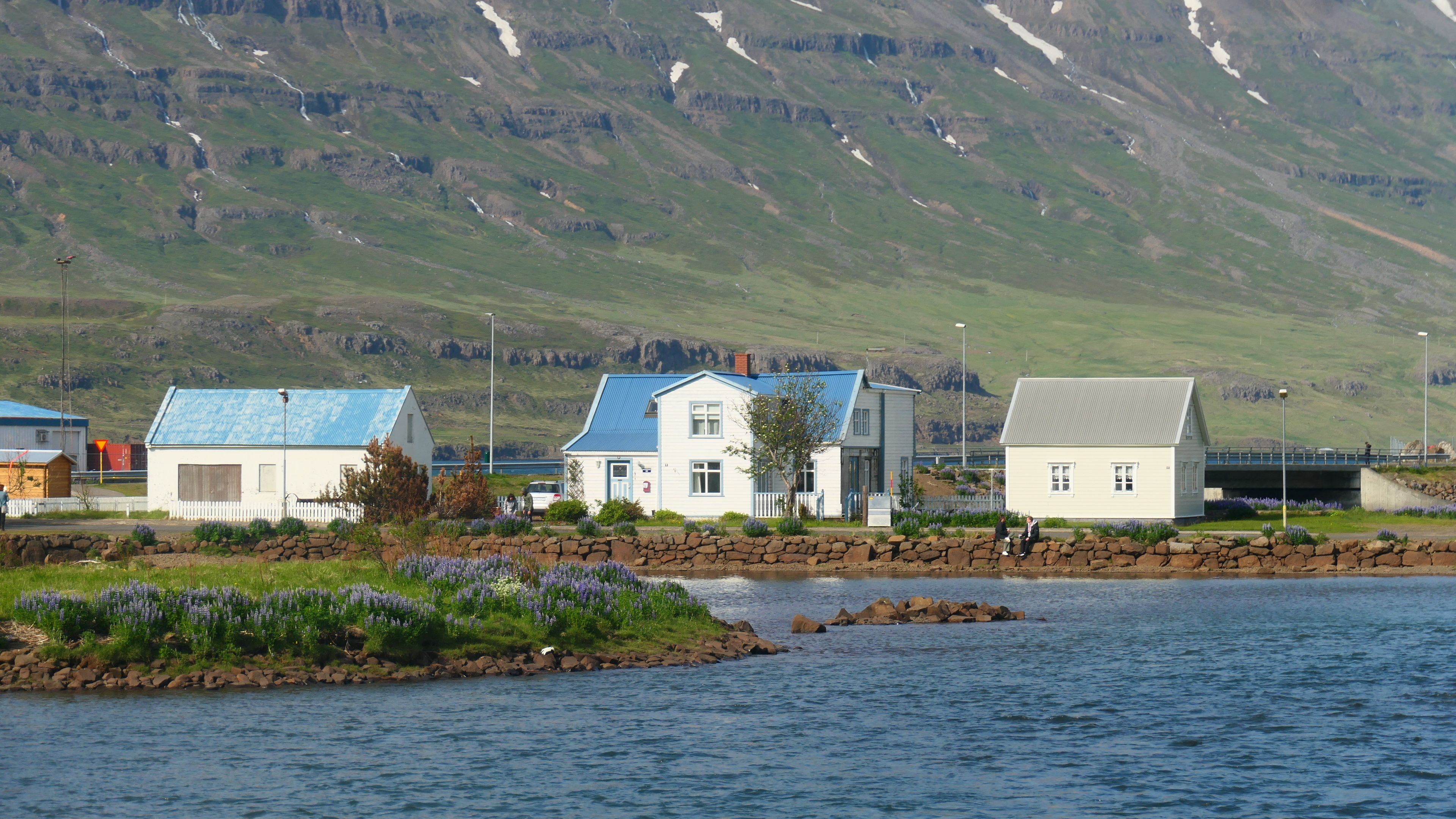 Charming homes in Seyðisfjörður by the fjord, capturing Iceland's serene beauty. - Fiordos del Este