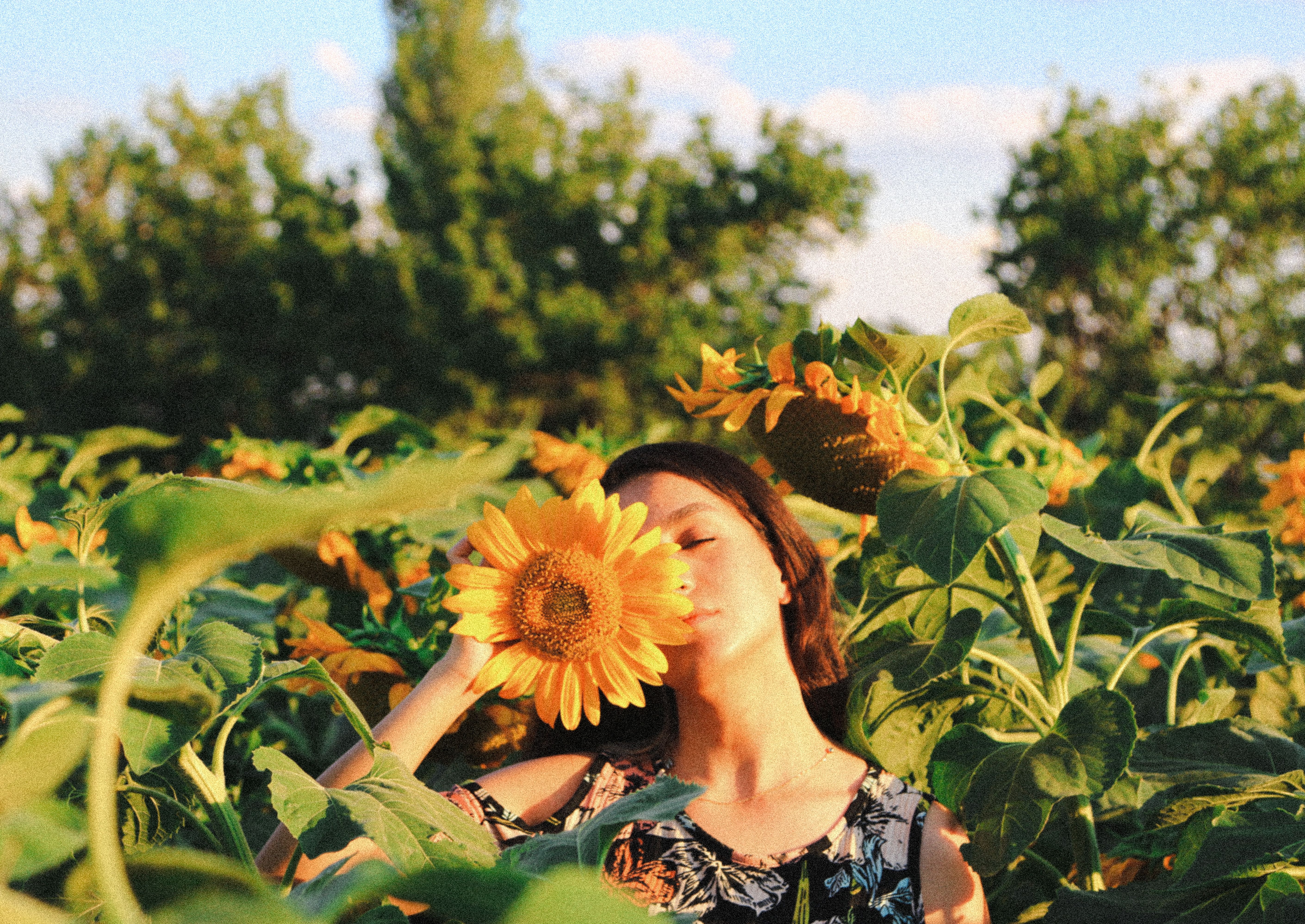 Photo of Woman in Black Dress Standing on Sunflower Field · Free Stock ...